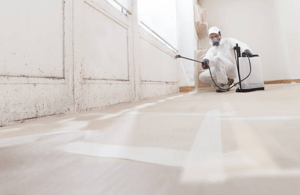 Post-remediation clearance in University Place